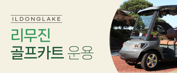 리무진골프카트운용
